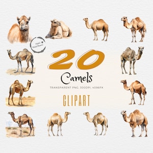 Desert Vibe Camel Art | 20 Watercolor Digital Prints | Dromedary for Scrapbooking, Apparel, Decor & More | Transparent PNG Files