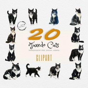 Lot de cliparts chat smoking | 20 illustrations réalistes de félins | Parfait pour les projets sur le thème des animaux de compagnie, les créations artistiques et l'usage éducatif | Fichiers PNG