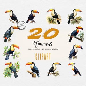 20 Tropical Toucan Cliparts | Watercolor Painting Prints | Ideal for Scrapbooking, Crafts, Journaling | Perfect for DIY Projects | PNG files