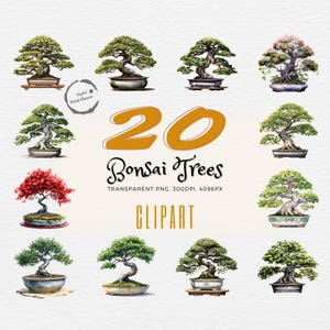 Bonsai Baum Clipart Bundle | 20 realistische Aquarell Drucke | Perfekt für DIY Handwerk, Kleidung, Journals | Verbessern Sie Ihre Projekte!