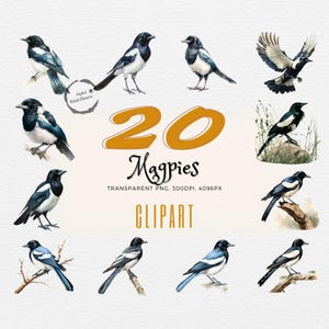 Aquarelle enchantée de Pie | 20 illustrations d'oiseaux réalistes | Idéal pour les projets d'art et d'artisanat inspirés de la nature | Utilisation commerciale