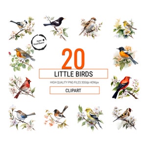 Beautiful Bird Watercolor Clipart Set | 20 Digital Prints Featuring Perched Birds on Twigs | Red Robin, Cardinal, Goldfinch, Sparrow & More
