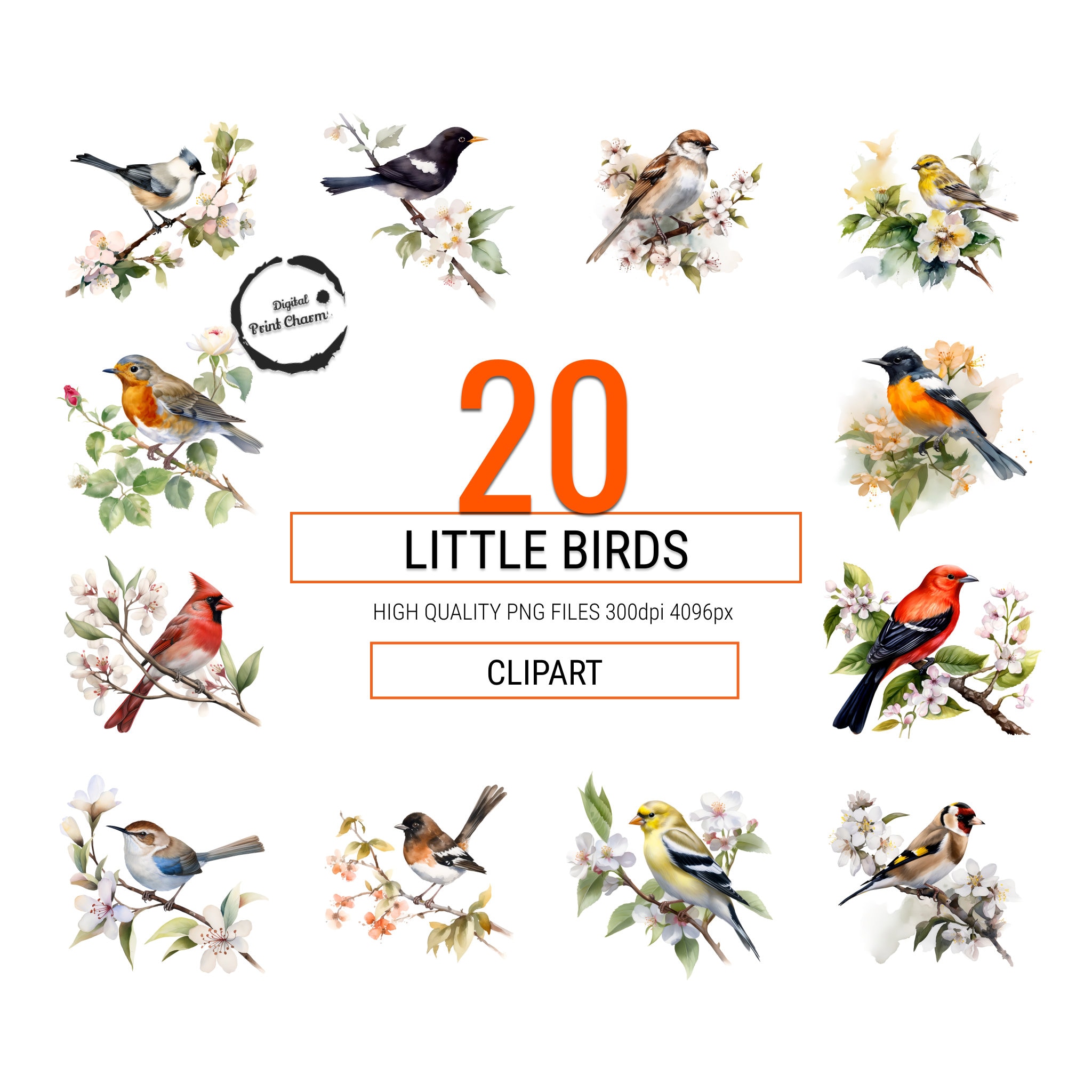 Goldfinchperfect formbreathtaking