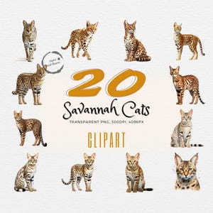 Collection de cliparts exotiques de chat de la savane | 20 illustrations réalistes à l'aquarelle | Projets d'art idéal et amateurs de félins | PNG transparents