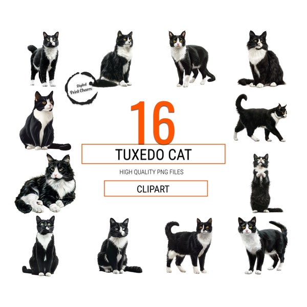 Tuxedo Cat Clipart Bundle | 16 Realistic Feline Illustrations | Perfect for Pet-Themed Projects, Art Designs & Educational Use | PNG Files