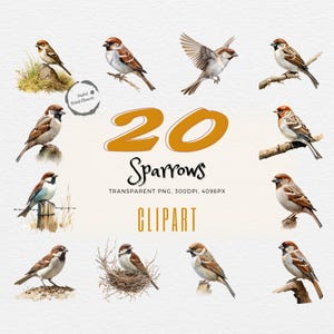 20 impressions clipart aquarelle réaliste de moineau | Téléchargement numérique | Accès instantané | Pour projets DIY, cartes, art mural, agendas