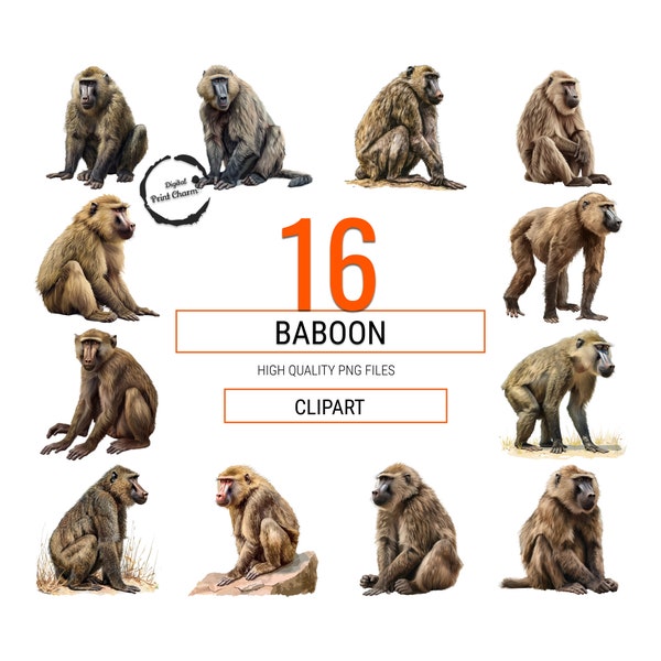Realistic Baboon Clipart Bundle | 16 Detailed Primate Illustrations | Perfect for Educational Content, Wildlife Art & Themed Projects | PNG