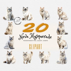 Art de chat mascarade Neva | 20 impressions réalistes à l'aquarelle | Idéal pour le bricolage, la décoration murale et les cadeaux | Téléchargement numérique instantané | PNG transparents