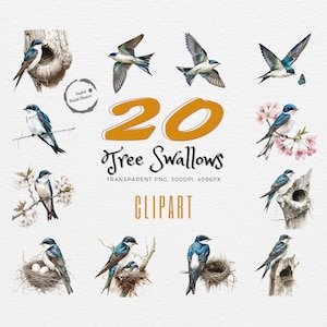 Realistic Tree Swallow Clipart Bundle | 20 Watercolor Bird Illustrations | Perfect for Birdwatchers, Nature Projects & Educational Use | PNG