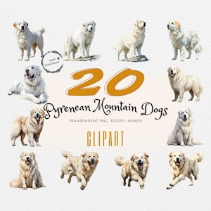 Pyrenäen Sennenhund Clipart Bundle | 20 realistische Aquarellbilder | Perfekt für das Kunsthandwerk & Design von Haustierliebhabern | Transparentes PNG
