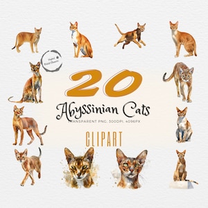 Charming Abyssinians | 20 Watercolor Cat Clipart Prints | For Scrapbooking, Crafting, Journaling | Realistic Feline Art | Commercial Use