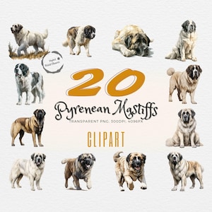 Superbe collection de cliparts Mâtin des Pyrénées | 20 illustrations réalistes de chien à l'aquarelle | Idéal pour les projets artistiques et design | PNG transparents