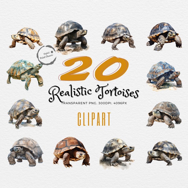 Realistic Tortoise Clipart | 20 Watercolor Digital Prints | Instant Download | Charming Animal Art | Perfect for Craft Projects & Decor