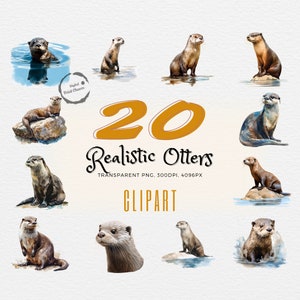 Watercolor Otters | Bundle of 20 | Realistic Digital Prints | Clipart Set | Wildlife Art | Perfect for Projects | Nature Lovers&#39; Choice