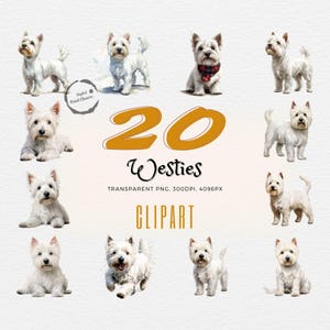 Westie Wonderland! | Watercolor Wonders | Tailored for Westie Lovers | Perfect for Breeders & Enthusiasts! | 20 Transparent PNG Files