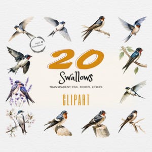 Swallow Watercolor Clipart Bundle | Realistic Bird Prints | 20 Artistic Creations | Ideal for Crafts, Apparel, Decor & More!
