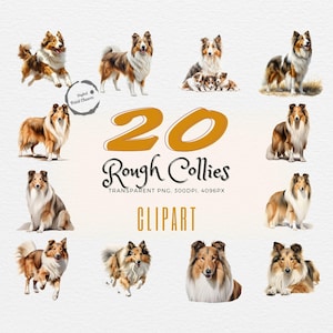 Op de afbeelding: Een set van 20 digitale clipart-afbeeldingen van ruwharige collies in verschillende poses. De afbeeldingen zijn in aquarelstijl en bevatten verschillende kleuren, waaronder bruin, wit en zwart. De afbeeldingen zijn transparante PNG-bestanden, 300 DPI, 4096 pixels.
