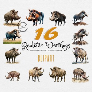 Realistisches Warzenschwein Clipart Bundle | 16 Aquarell Illustrationen | Einzigartiges Geschenk für Naturliebhaber | Künstlerische Digitaldrucke | PNG-Dateien