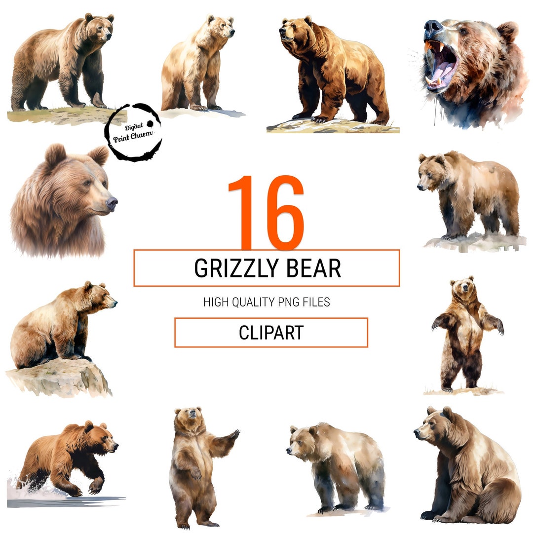 Realistic Grizzly Bears Watercolor Clipart Bundle of 16 Digital Prints ...