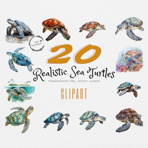Watercolor Sea Turtles Clipart | 20 Realistic Ocean Creatures Digital Prints | Instant Download | Nautical Wall Art | Marine Life Decor