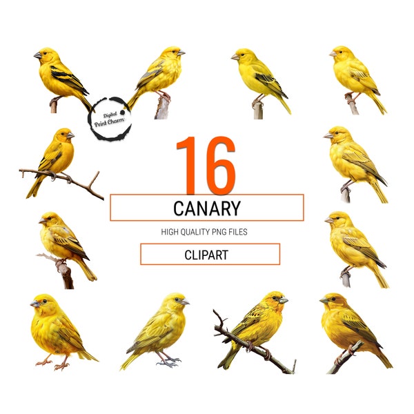 Canary Watercolor Clipart | Bundle of 16 Realistic Paintings | For Crafts, Apparel, Journals | Add Sunshine to Your Creative Projects!