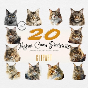 Lush Maine Coon Cat Portraits Watercolor Clipart | 20 Realistic Feline Illustrations | Perfect for Cat-Themed Art & Crafts | Transparent PNG