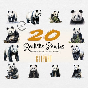 Impressions numériques Panda | Oeuvre d'art à l'aquarelle | Lot de 20 | Ensemble de cliparts réalistes | Amateur de faune sauvage | Pour les projets de bricolage à usage commercial