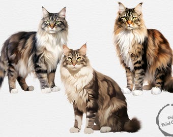 【原画販売】ノルウェージャンフォレストキャットの水彩画 原画販売】ノルウェージャンフォレストキャットの水彩画 原画販売