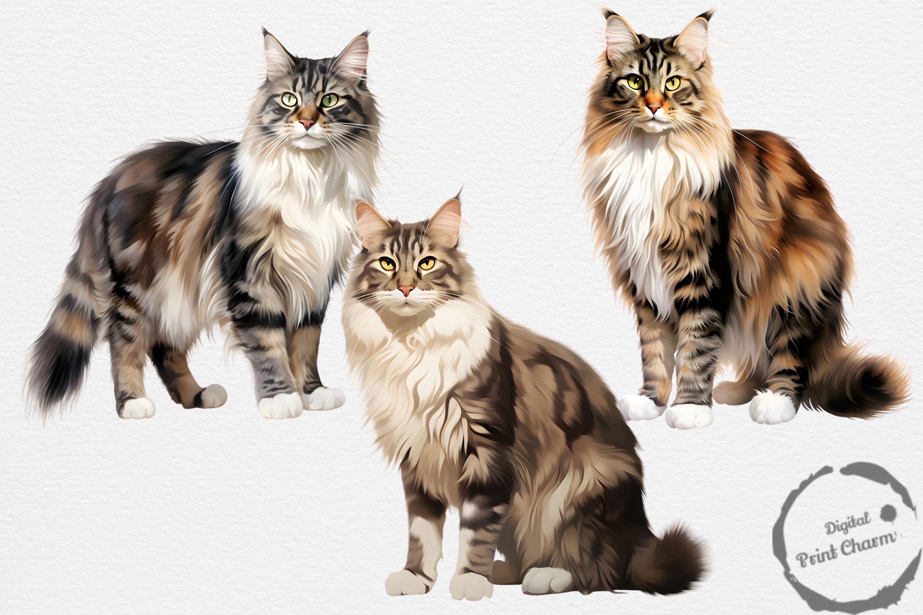 【原画販売】ノルウェージャンフォレストキャットの水彩画 原画販売】ノルウェージャンフォレストキャットの水彩画 原画販売