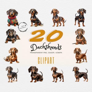 Niedliche Dackel Clipart | 20 entzückende Dackel Illustrationen | Geschenk für Hundeliebhaber | Digitale Kunst | Aquarell Doxie Bundle | Kommerzielle Nutzung