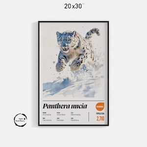 Exclusive: Stunning Snow Leopard Poster with Taxonomy & Conservation Status | Must-Have Wildlife Art | Perfect Gift for Nature Lovers!