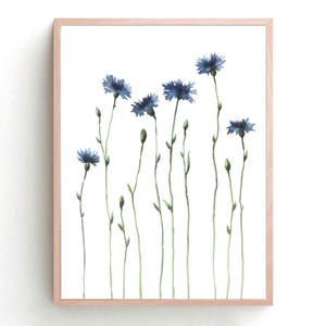 Cornflowers Printable Minimalist Watercolor Art Print Blue Flowers Wall Art Floral Digital Download Botanical Poster by ArtPrintLeaf