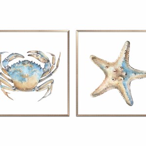 Sea Animal Set of 2 Prints Nautical Watercolor Painting Coastal Wall Art Neutral Beach House Poster Crab Print Starfish Art by ArtPrintLeaf image 7