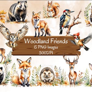 Bundle de cliparts aquarelle amis animaux des bois Téléchargement instantané PNG pour créations artisanales et décoration