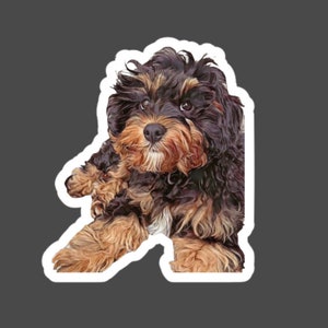 Op de afbeelding: Een sticker met een hond met een pluizige vacht, in tinten zwart, bruin en bruin. De sticker heeft een witte rand en staat tegen een donkergrijze achtergrond. De hond kijkt naar de kijker.