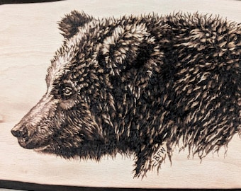Katmai Bear 128 Grazer's Yearling Cub "Biggie", Alaskan Brown Bear, Original Hand Burned Wildlife Art, Pyrography on Beech Wood.