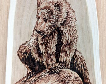 Katmai Bear 505's yearling cub, Alaskan Brown Bear, Original Hand Burned Wildlife Art, Pyrography on Live Edge Cherry Wood.