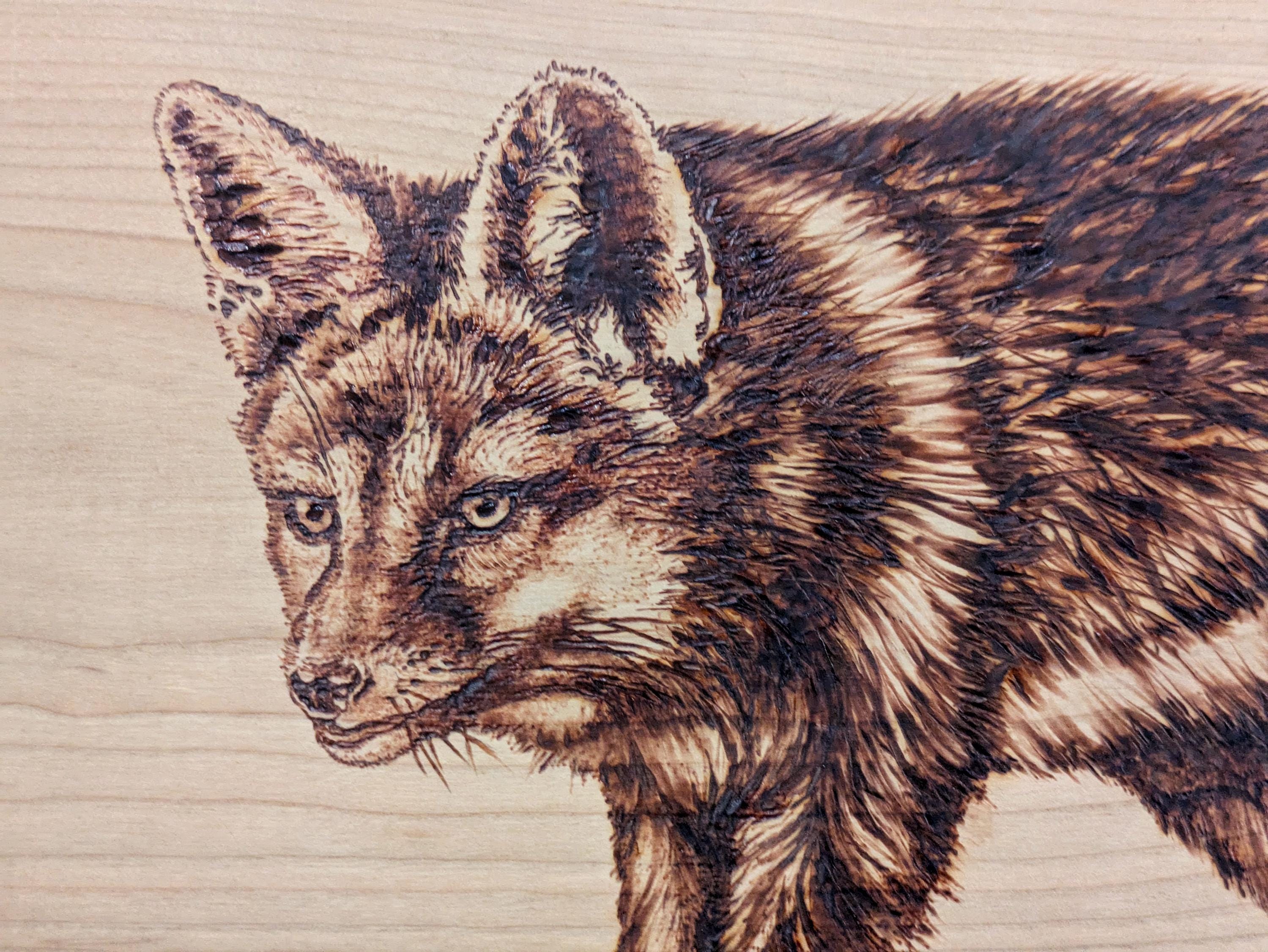 Pyrography Fox Red Lab Gray Fox, Original Hand Burned Wildlife Art, Pyrography on Live Edge ...