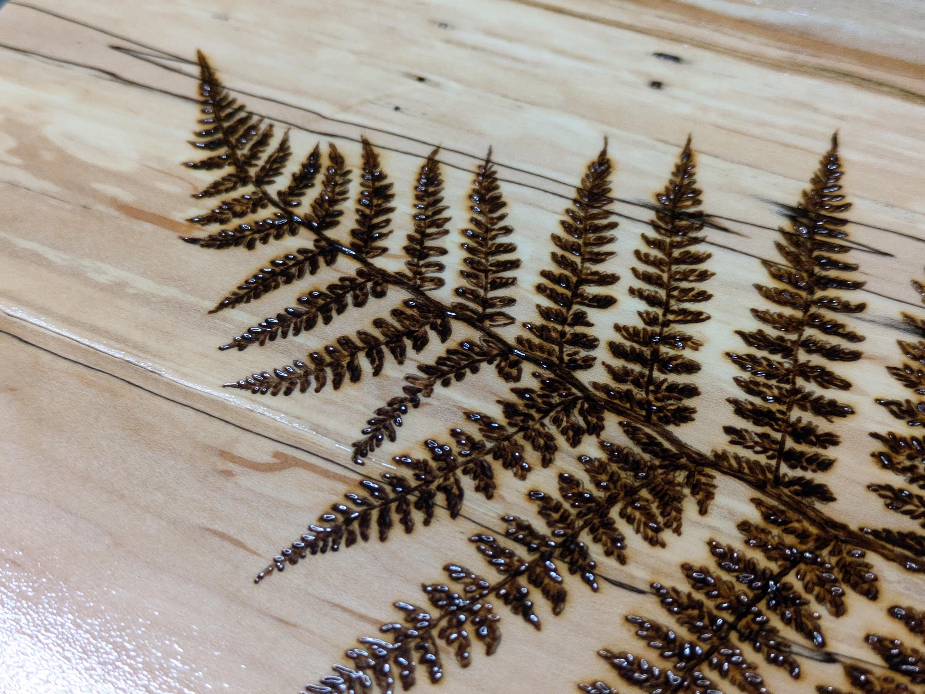 Forest Fern Wall Art, Original Hand Burned Art, Pyrography on Rustic ...