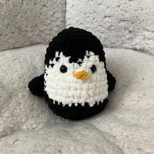 Peeky the Penguin