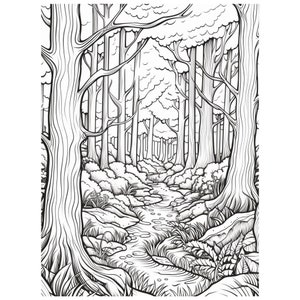 130 Forest Coloring Pages | Printable Coloring Book | Coloring Pages ...