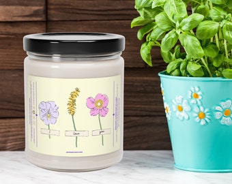 Candles