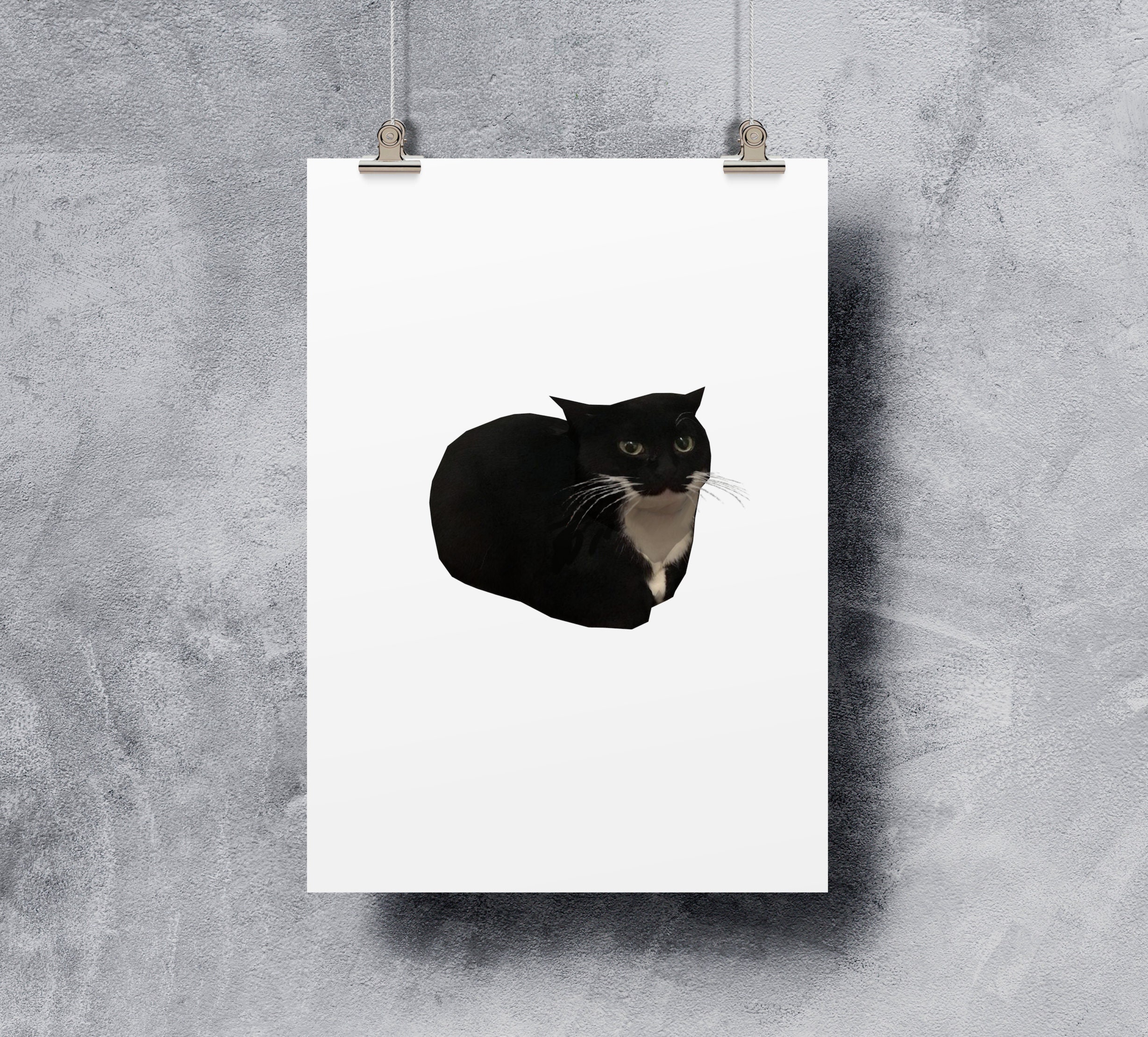 Maxwell the Cat Poster, Maxwell Cat Meme Wall Art, Maxwell Cat, Funny