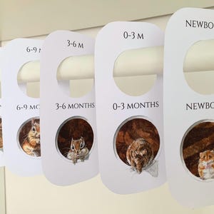 Animal Portrait Closet Dividers: Watercolor Nursery Organization, 12 Tags Newborn - 7 Years (Digital Download)