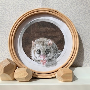 Puede incluir: Una pintura al agua enmarcada de un pequeño animal gris y blanco con ojos grandes, asomándose desde un agujero en un árbol. La pintura está en un marco de madera natural.