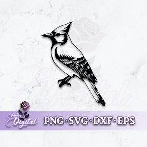 Bluejay  - Instant Download! Craft with Ease: Svg, Png, Dxf, & Eps Files Included