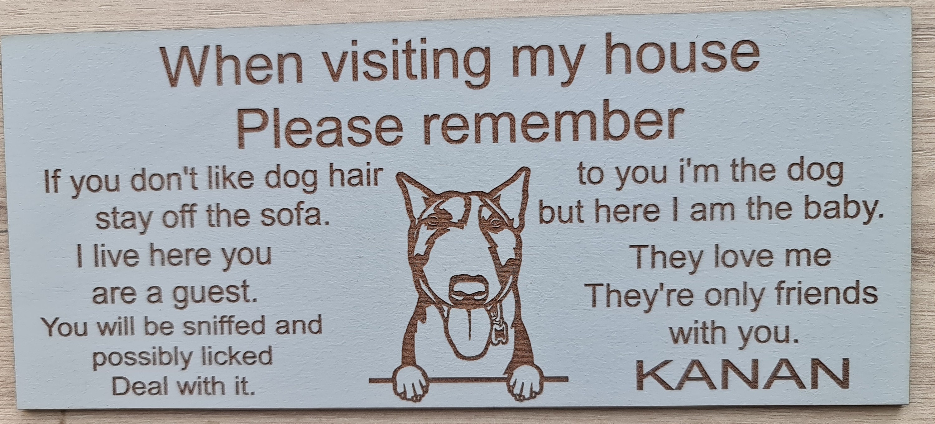 Dogs House Rules for Visitors Etsy UK