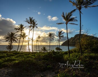 Oahu Sunrise Photo, Hawaii Sunrise Photography, Hawaii Canvas Print, Hawaii Metal Print,  Beach House Wall Art, Seascape Photography
