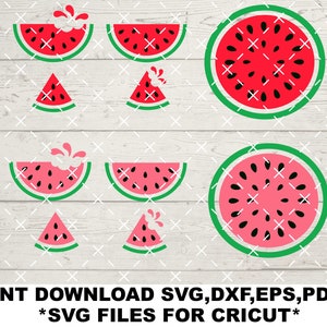 One in a Melon Svg, Watermelon SVG,Fruit svg, Watermelon Slice, Cut file, One in a Melon png, dxf, eps, pdf ,cricut