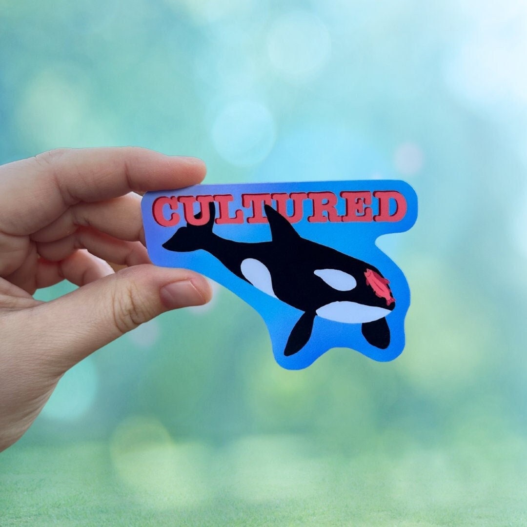 Orca Salmon Hat Sticker Cultured Orca Whale Gift for Animal Lovers and  Marine Biologists Funny Nature Sticker for Laptop or Water Bottle